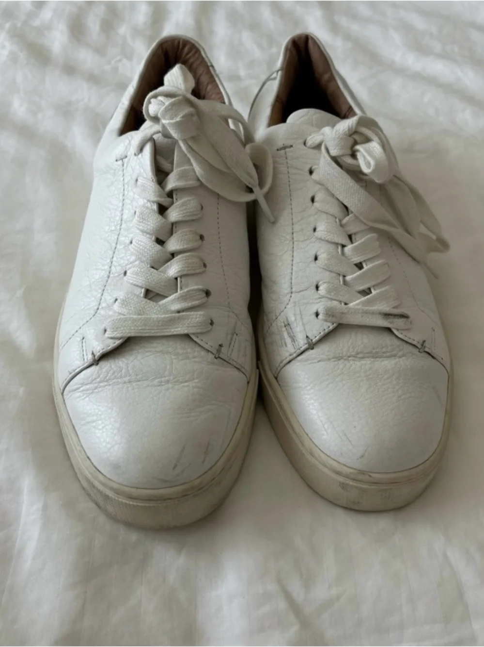 Frye | Women's Ivy Leather Lace-Up Sneakers - Size 9.5